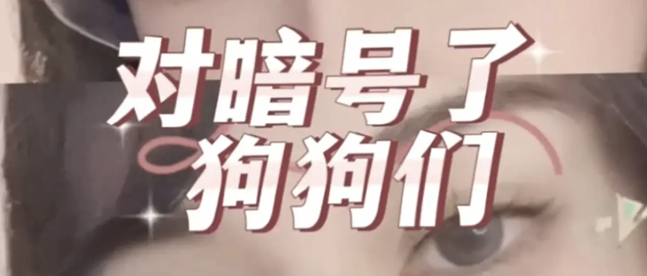 西檬之家-字母圈SP实践指南