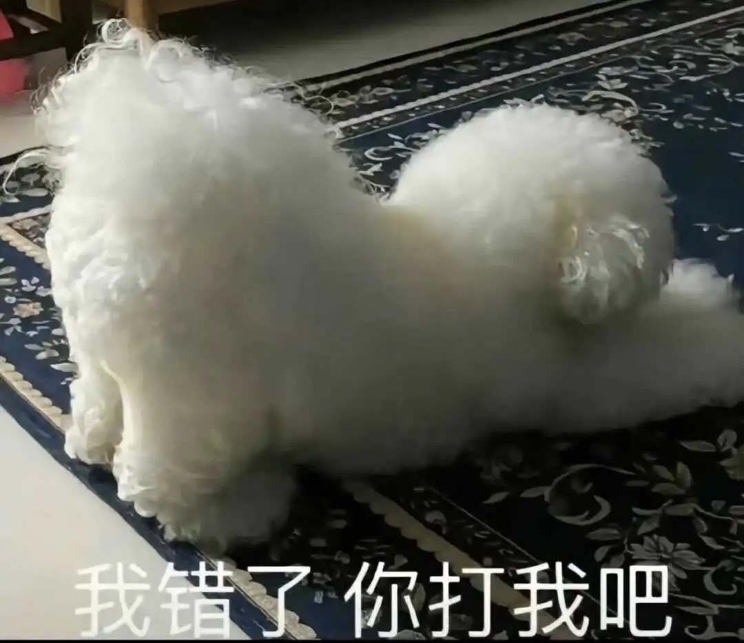 西檬之家-字母圈新人入圈指南：掌握必备术语与实践原则