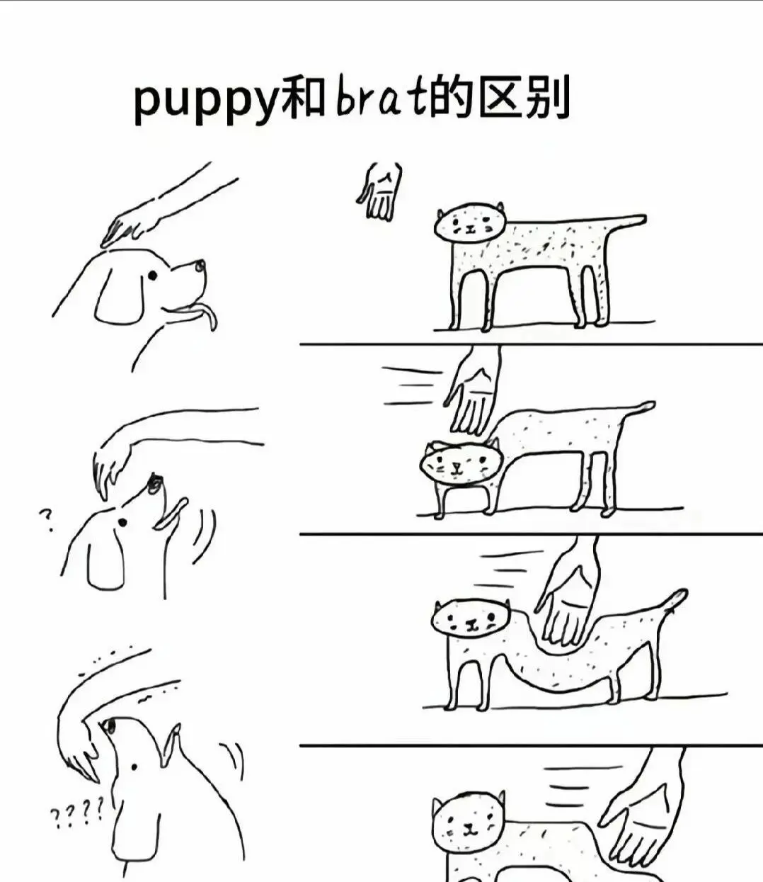 西檬之家-圣水是什么？字母圈新人入圈指南