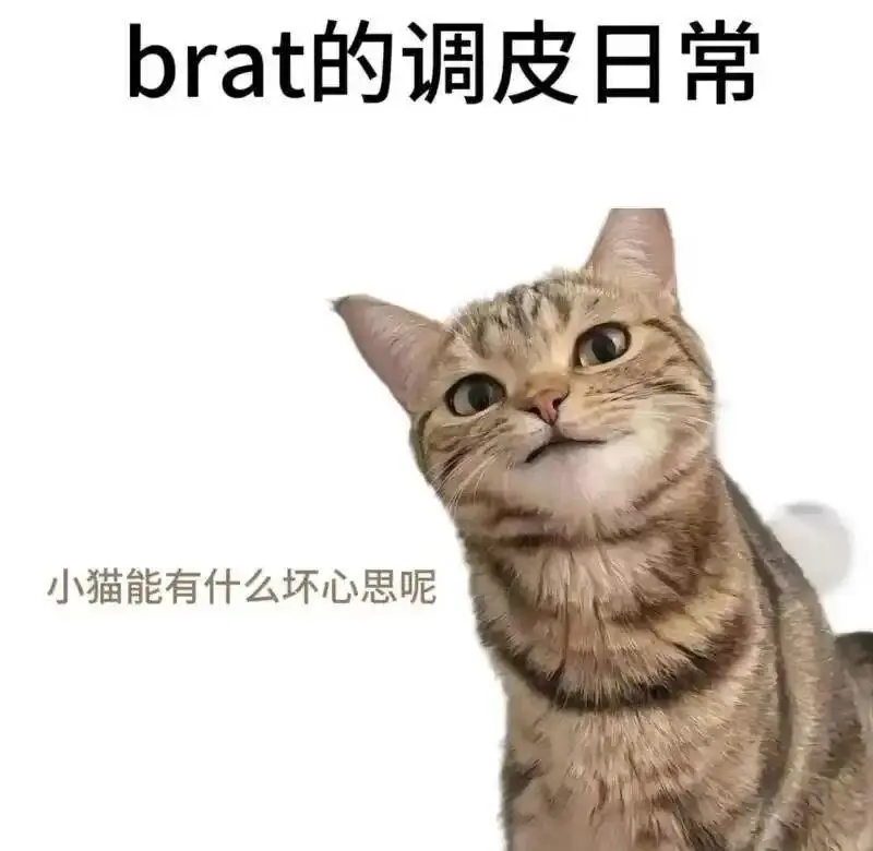 西檬之家-圣水在字母圈中的定义与使用方式