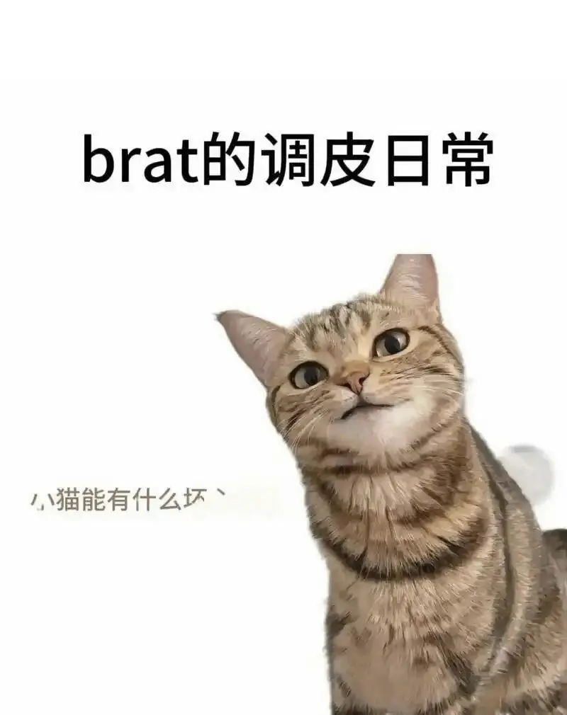 【西檬之家】字母圈管教指南：新人如何建立安全的信任关系