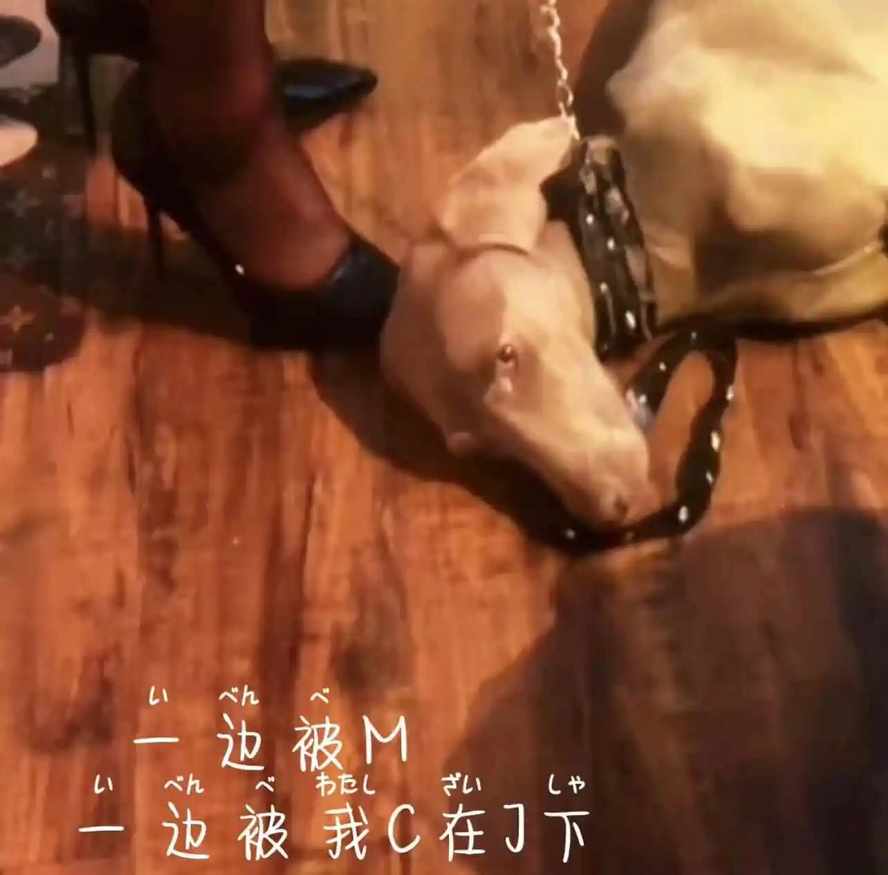 Dom：实用指南
