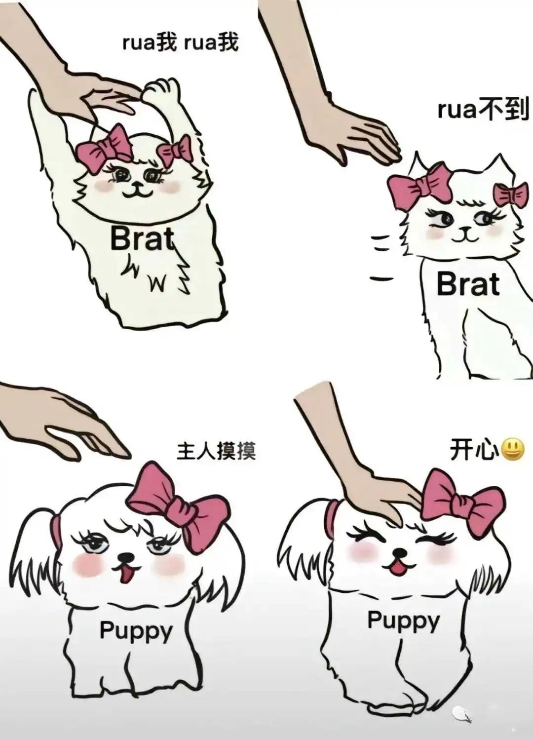 西檬之家-字母圈新人入圈指南：全面解析小圈核心与安全原则