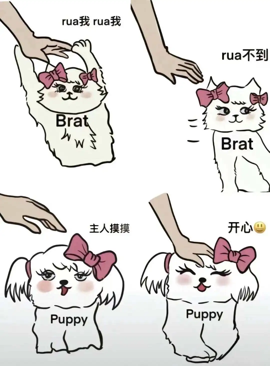 西檬之家-BDSM概念辨析：DT究竟是什么意思？