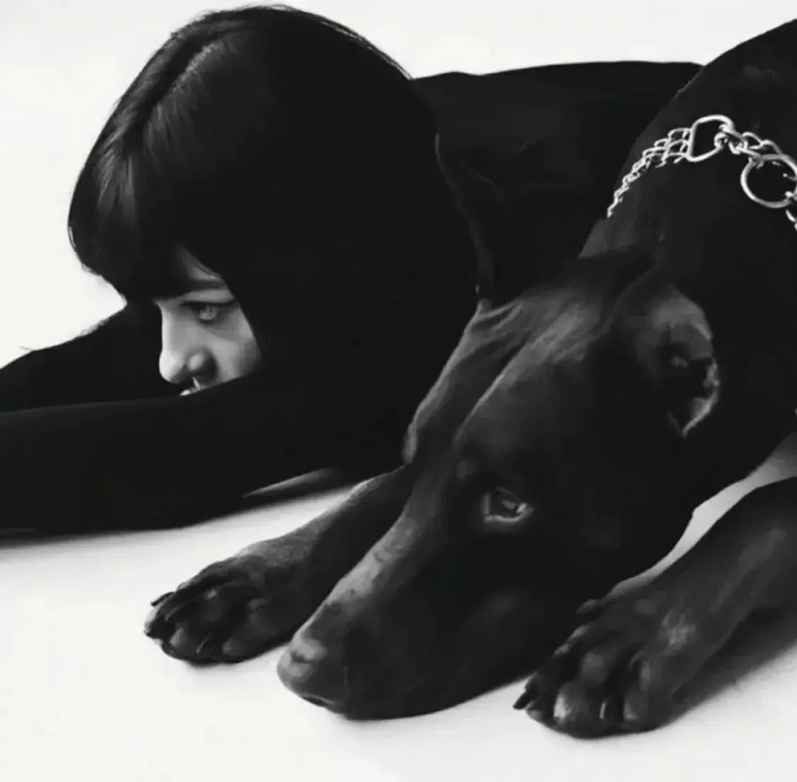 小圈 - 2025-11-13 235316